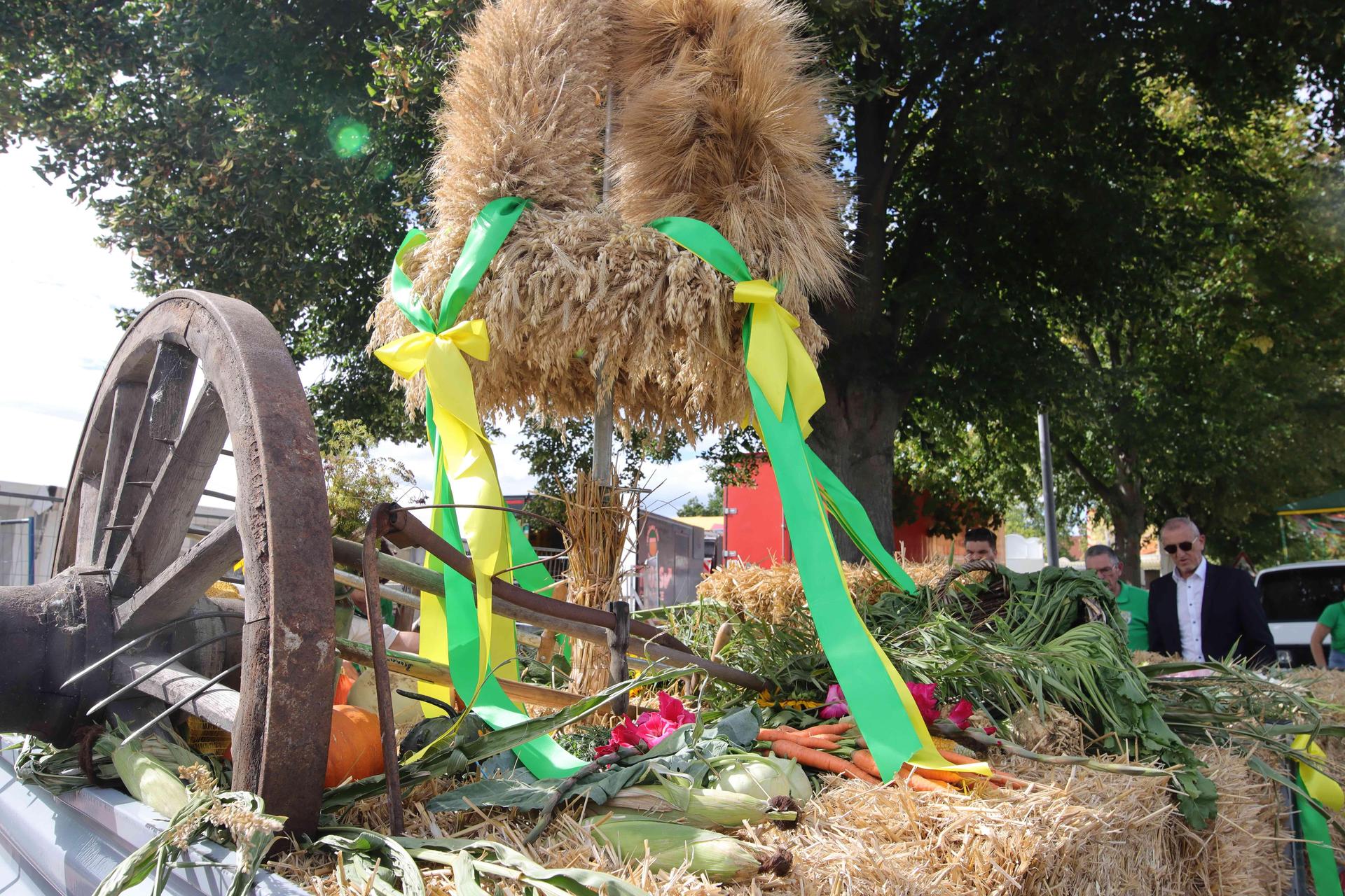 Eindrücke vom großen Festumzug. (Foto: tau)