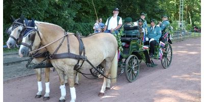 Startklar: Die Kutsche für den Festumzug. (Foto: gi)