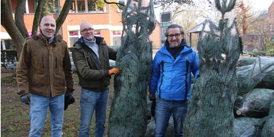 Beim Aufstellen der Tannenbäume (v.li.): Christoph Rüther, Michael Schaer und Jan Weber. (Foto: gi)