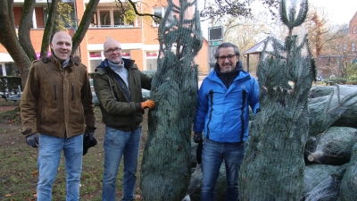 Beim Aufstellen der Tannenbäume (v.li.): Christoph Rüther, Michael Schaer und Jan Weber. (Foto: gi)