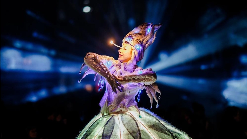 Fürs Auge: Das Lichterfest in Neustadt. (Foto: privat)