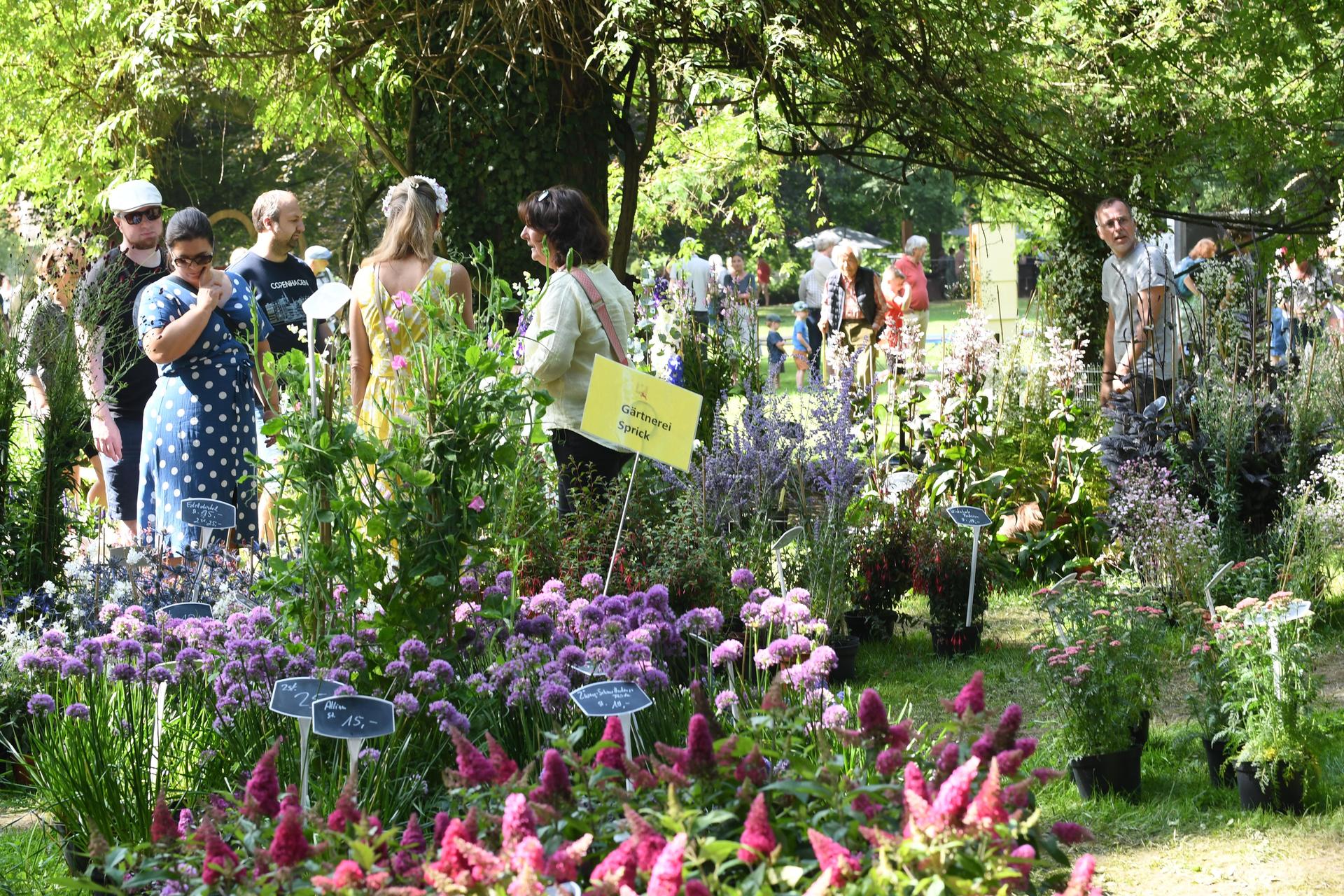 Drei Tage lang verwandelte sich das Rittergut Remeringhausen in ein Paradies für Garten- und Kunstliebhaber: Das beliebte Fest „Romantic Garden“ feierte seinen 25. Geburtstag. Bei strahlendem Sommerwetter strömten zahlreiche Besucherinnen und Besucher auf das idyllische Gutsgelände, um ein abwechslungsreiches Programm aus Ausstellungen, Musik und kulinarischen Angeboten zu genießen. Die gut gelaunten Gäste und das hervorragende Wetter sorgten für beste Stimmung, und auch die Aussteller zeigten sich rundum zufrieden. (Foto: nd)